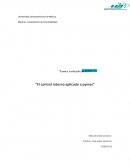 El control interno aplicado a pymes