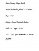 La que hubiera amado