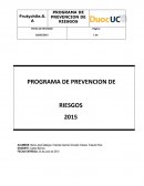 Programa de prevencion de riesgos.Empresa frutychile.S.A