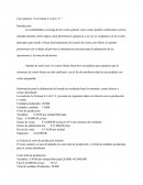 Caso práctico “La Fortuna S.A de C.V.”