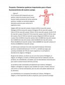 Elementos químicos importantes para el cuidado de la salud