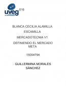 DEFINIENDO EL MERCADO META