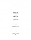 ENSAYO DE PSICOLOGIA . persona Natural