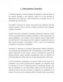 PERFIL ESTRATÉGICO COPEC