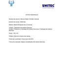 Mapas Conceptuales del sistema Nervioso.