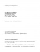 Ejemplo de analisis del control interno