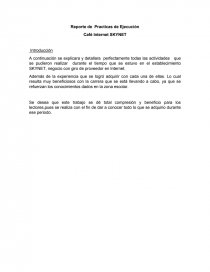 Reporte de Practicas de Ejecución Café Internet SKYNET. Página 1