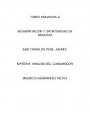 SEGMENTACION Y OPORTUNIDAD DE NEGOCIO