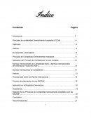 Relación de los Principios de Contabilidad Generalmente Aceptados con las NIC/NIIF