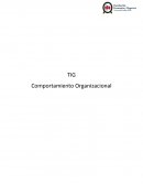 TIG Comportamiento Organizacional
