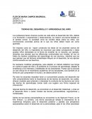 TEORIAS DEL DESARROLLO Y APRENDIZAJE DEL NIÑO