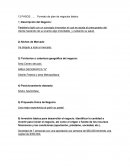 Formato de plan de negocios básico