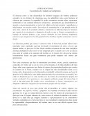 OTROS SENTIDOS Una perspectiva de la realidad social contemporánea