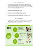 ¿Qué es un alimento transgénico?