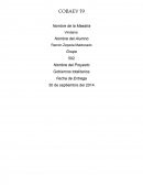 Surgimiento de los Gobiernos Totalitarios