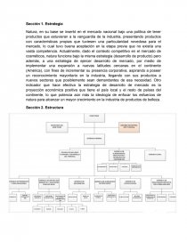 Plan estrategico natura - Tesis - Felipe Avendaño Sepúlveda