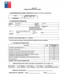 Anexo ingreso profesionales.