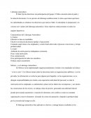 Liderazgo autocrático