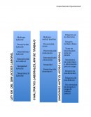 Manual diagnóstico y estadístico de los trastornos mentales.Barcelona: Masson