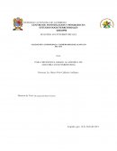 Protocolo de Investigacion DH.