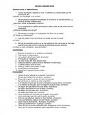 VICIOS LINGUISTICOS.