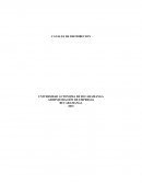 CANALES DE DISTRIBUCION TRABAJO FINAL