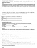 LA DEFINICIÓN DE LA IDEA.