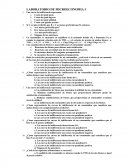 LABORATORIO DE MICROECONOMIA I.