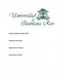 Economia industrial. “La vida es juego”