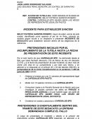 Tutela Derecho Peticion.