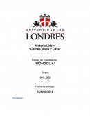 Mongolia: Geografía, gobierno, idioma y población