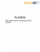 Plan Nacional para la Erradicación de la Silicosis.