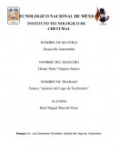 Ensayo - Ajolote de xochimilco.