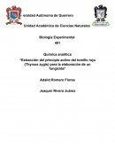 Extracción del principio activo del tomillo rojo (Thymus zygis) para la elaboración de un fungicida