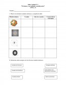 Prueba de ensayo NM1.