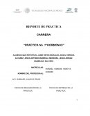 Práctica no. 1 Hormonas