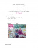 Proyectos innovadores a partir materia prima reciclada