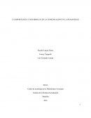 LA IMPORTANCIA Y DESARROLLO DE LA COMUNICACIÓN EN LA HUMANIDAD