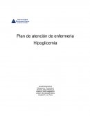 Plan de atención de enfermeria.