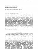 EN EL ESTADO DE JALISCO EN TURNO