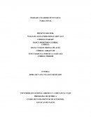 TRABAJO COLABORATIVO TAREA FINAL