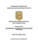 DETERMINACIÓN DE CARBONATOS INSOLUBLES POR RETROCESO