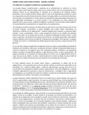 Los gerentes y el ambiente externo de las organizaciones