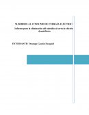 SUBSIDIOS AL CONSUMO DE ENERGÍA ELÉCTRICA