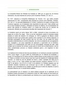 Caso Peñoles México