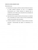 DERECHO AL MEDIO AMBIENTE SANO.