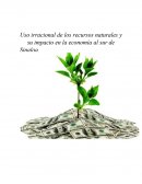 Uso irracional de los recursos naturales y su impacto en la economía al sur de Sinaloa.