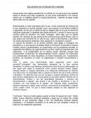 Derecho:siguiendo mi verdadero camino