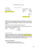 El Racionalismo critico de Popper.