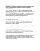 CUAL ES LA FORMA DE EMPLEO.